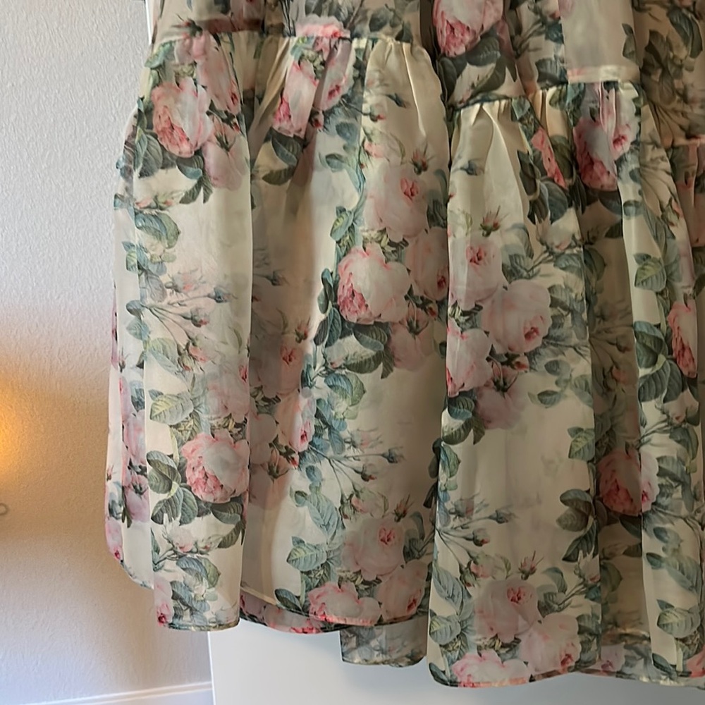 Selkie Floral Maxi Dress in Pale Green and Pink - Picture 5 of 5